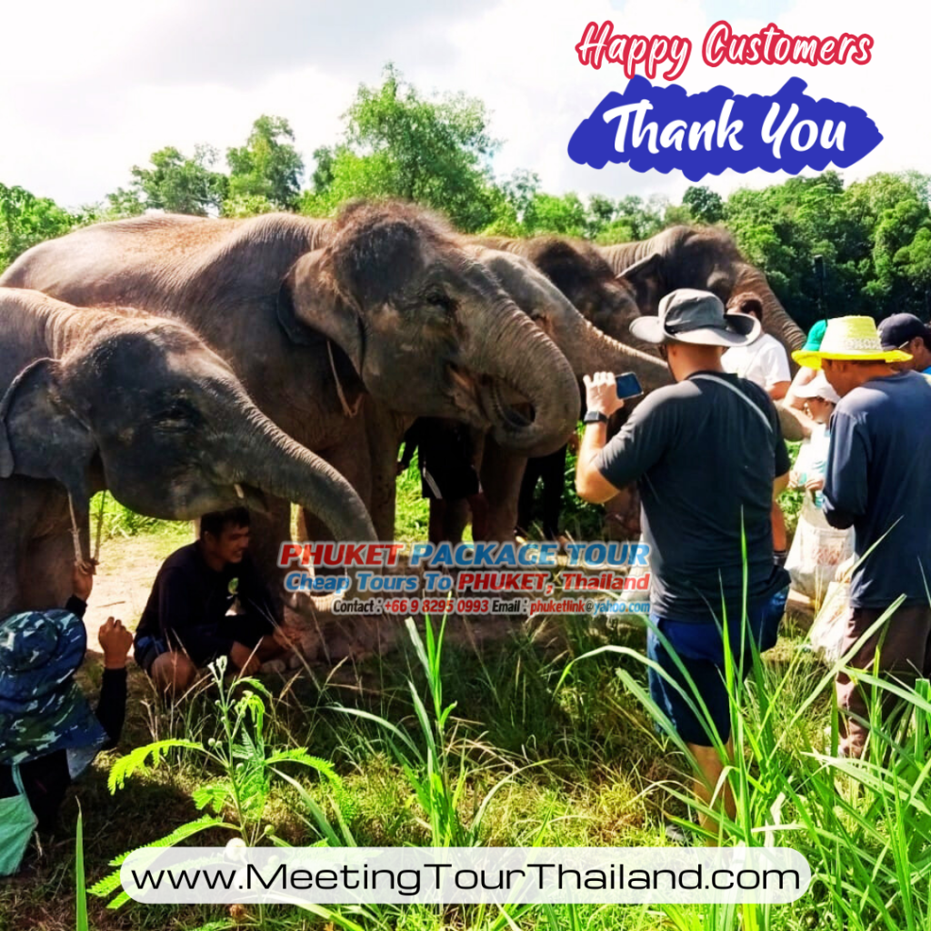Phuket Elephant Sanctuary