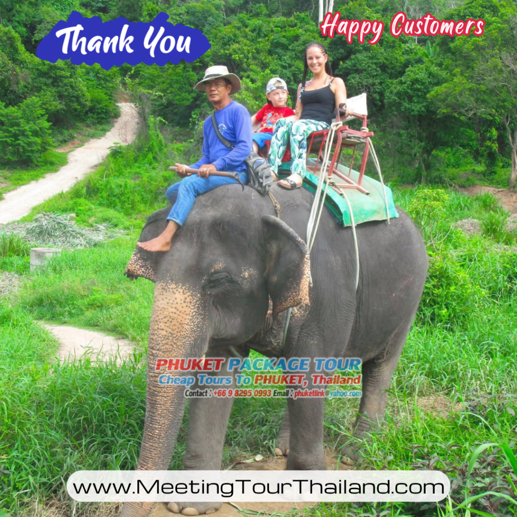Phuket Elephant Trekking